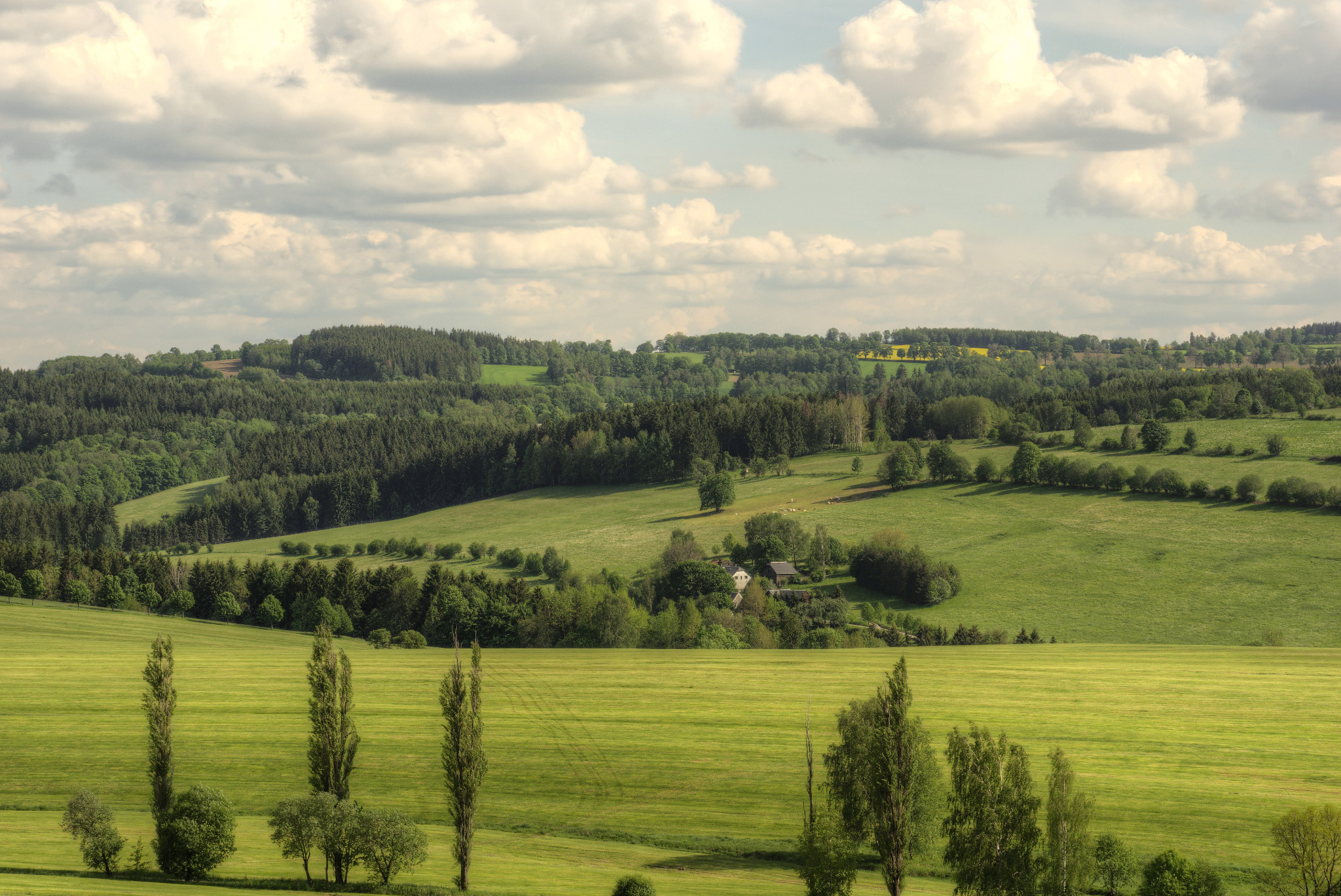 Schönfeld - Anfang Juni 2019